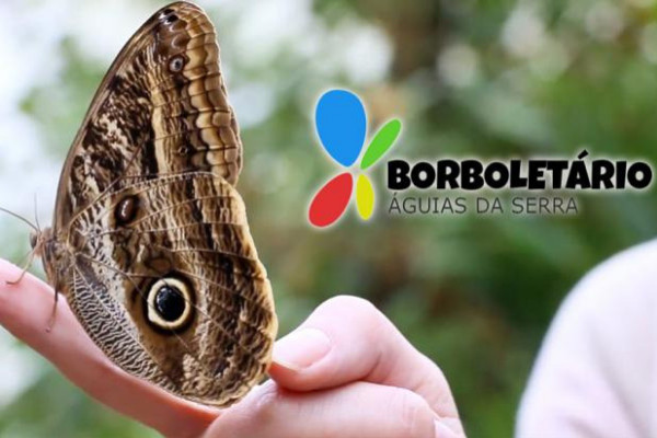 Especial de Férias no Borboletário Águias da Serra