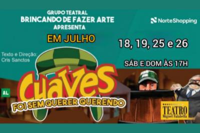 Chaves, Foi sem Querer Querendo