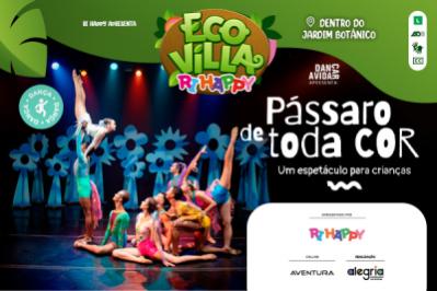 Pássaro de Toda Cor