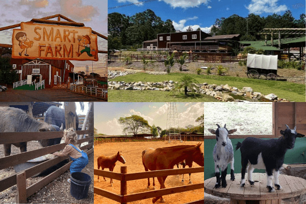 Fazendinha Smart Farm
