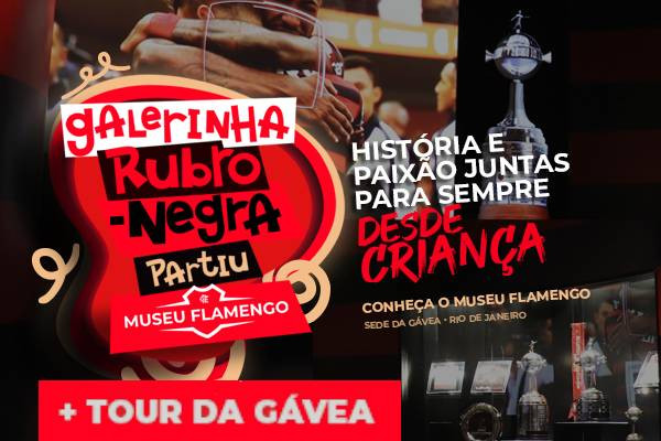 Museu Flamengo + Tour na Gávea