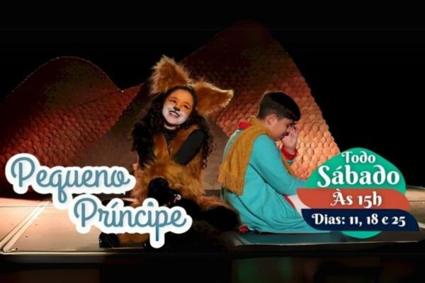 O Pequeno Príncipe