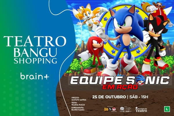 Equipe Sonic em Ação